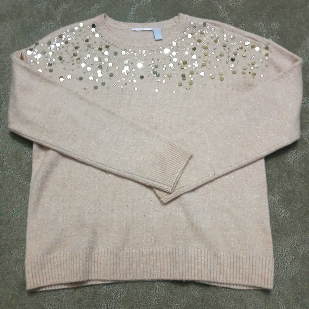 The Children's Place crew neck pullover sweater (used)